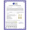 Image 2 : Genuine 4.6 ctw Citrine & Diamond Earrings 14KT White Gold - REF-30T2A