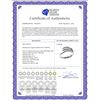 Image 2 : Genuine 0.06 ctw Diamond Anniversary Ring 14KT White Gold - REF-52Y2F