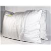 Image 1 : TWO WEATHERPROOF FEATHER PILLOWS 67X49" EACH
