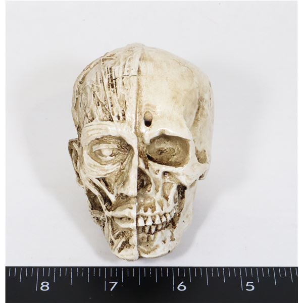 NEW MINIATURE SKULL. ONE SIDE SKULL OTHER SIDE