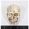 Image 1 : NEW MINIATURE SKULL. ONE SIDE SKULL OTHER SIDE