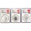 Image 1 : 2023 Set (3) 1oz G.B. S2Â£ NGC MS69 Q. Elizabeth I