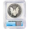 Image 2 : 2021-W American Silver Eagles ICG-PR69 DCAM