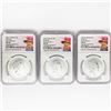 Image 1 : 2023 Set (3) 1oz G.B. S2Â£ NGC MS69 Q. Elizabeth I
