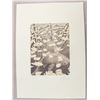 Image 2 : Dutch Etching Signed M.C. Escher 56/150