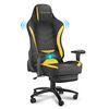 Image 1 : NEWLY ASSEMBLED ECLIFE GAMING CHAIR WITH CUSHION &