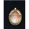 Image 3 : Cameo Pendant/Brooch
