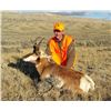 Image 2 : 2023 Wyoming Commissioner's License Deer, Elk or Pronghorn