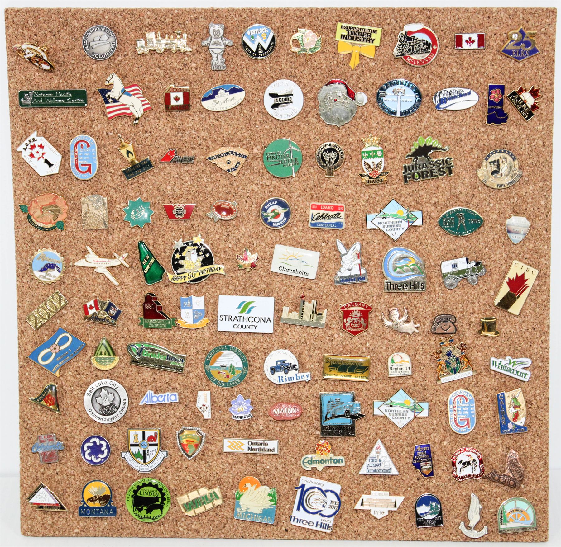 Collect Pin 100 COLLECTOR PINS ON 12 X 12 CORK BOARD