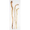 Image 1 : 3 HANDMADE WALKING STICKS