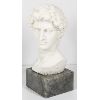 Image 1 : BUST OF DAVID ON MARBLE BASE