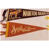Image 9 : (10) Pennants