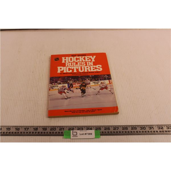 Hockey Rules in Pictures