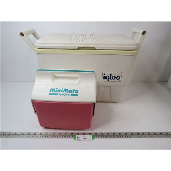 Igloo Cooler - MiniMate Cooler