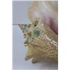 Image 3 : Conch Shell