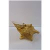 Image 2 : Conch Shell