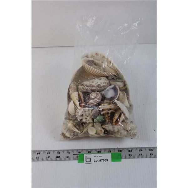 Bag of Assorted Sea Shells