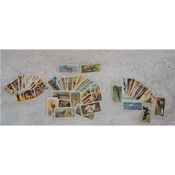 Brooke-Bond Cards  Wild West/ Wildlife in Danger  Good vintage condition