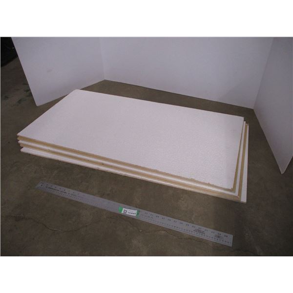 *(5) Ceiling Tiles (23.5x48)