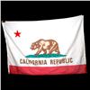 Image 1 : Two California Republic Flags.