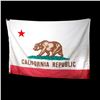 Image 2 : Two California Republic Flags.