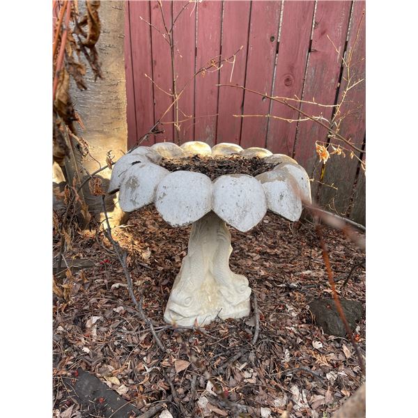Bird Bath