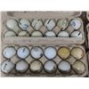 Image 2 : 8 Dozen Assorted Golf Balls - Mostly Driving Range - some good ones