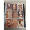 Image 9 : Binder Full of 1989-1991 Hockey Cards