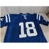 Image 2 : 2 Football Jerseys; Titans #10 Jake Lock Sz 50 & Colts #18 Peyton Manning Sz XL