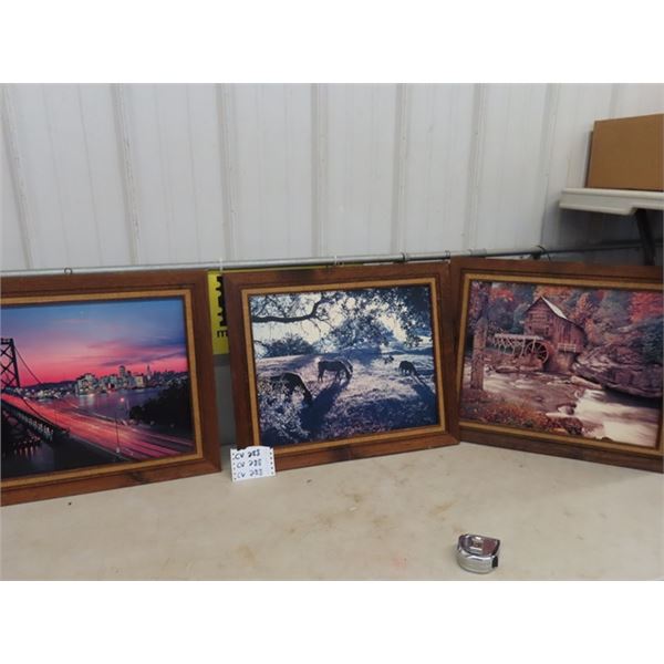 3 Framed Pictures - All 20.5  x 24  