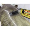 Image 5 : Inflatable Bull - Intex - 6' Nose to Tail - Whole Lot of Summer Fun! 