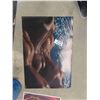 Image 3 : 11 Vintage Posters ; Farah, Cheryl Tieqs, Fonzie, Elton John, Morgan 