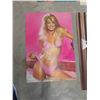 Image 7 : 11 Vintage Posters ; Farah, Cheryl Tieqs, Fonzie, Elton John, Morgan 