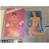 Image 9 : 11 Vintage Posters ; Farah, Cheryl Tieqs, Fonzie, Elton John, Morgan 