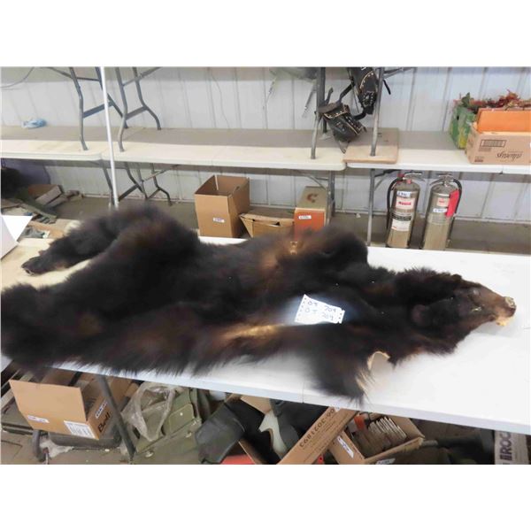 Bear Hide - Conditin Medium to Poor 30" x 70" 