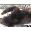 Image 4 : Bear Hide - Conditin Medium to Poor 30" x 70" 