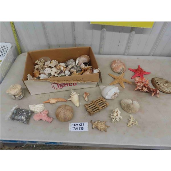 Large Assortment of Sea Shells, Starfish, Conch Shells, Crab Claw, plus more