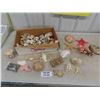 Image 1 : Large Assortment of Sea Shells, Starfish, Conch Shells, Crab Claw, plus more