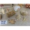 Image 3 : Large Assortment of Sea Shells, Starfish, Conch Shells, Crab Claw, plus more
