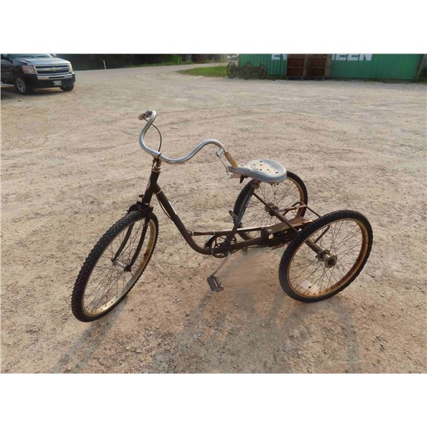 Adult 3 Wheel Pedal Bike