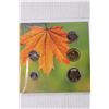 Image 3 : (2) O Canada Collectible Coins - 2014 (NIB)