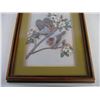 Image 3 : Shadow Box Frame w/ 3D Bird Artwork Signed SARON (13.5x17)