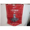 Image 1 : Detroit Red Wings - Double Sided Flag/Banner