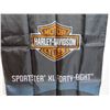 Image 3 : Millar Beer - Sportster XL Forty Eight Double Sided Flag/Banner