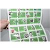 Image 3 : Saskatchewan Roughriders Pin Set
