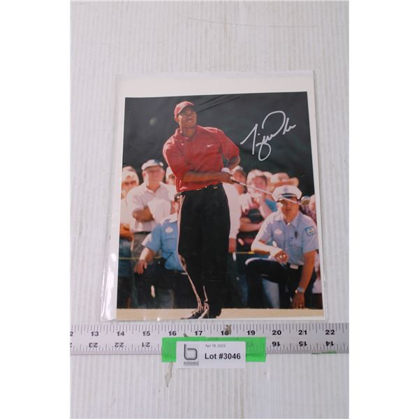 8 x 10 Autographed Photo of Tiger Woods