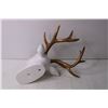Image 4 : Ceramic Deer Head Wall Hanging