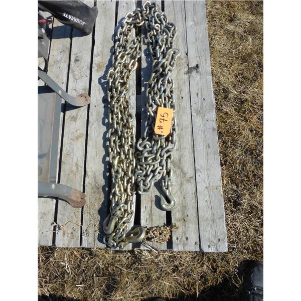 2- Heavy chains, Approx 14'