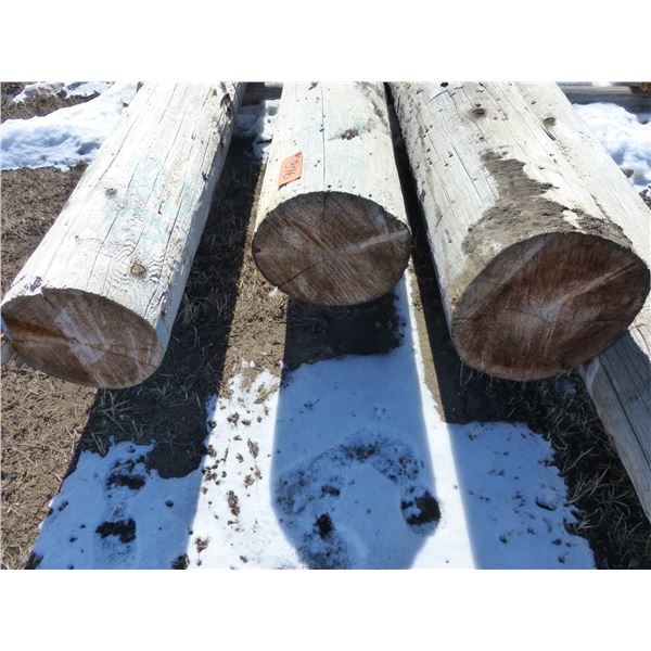 3- 12" power poles