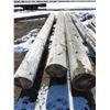 Image 2 : 3- 12" power poles